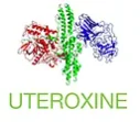 uteroxine